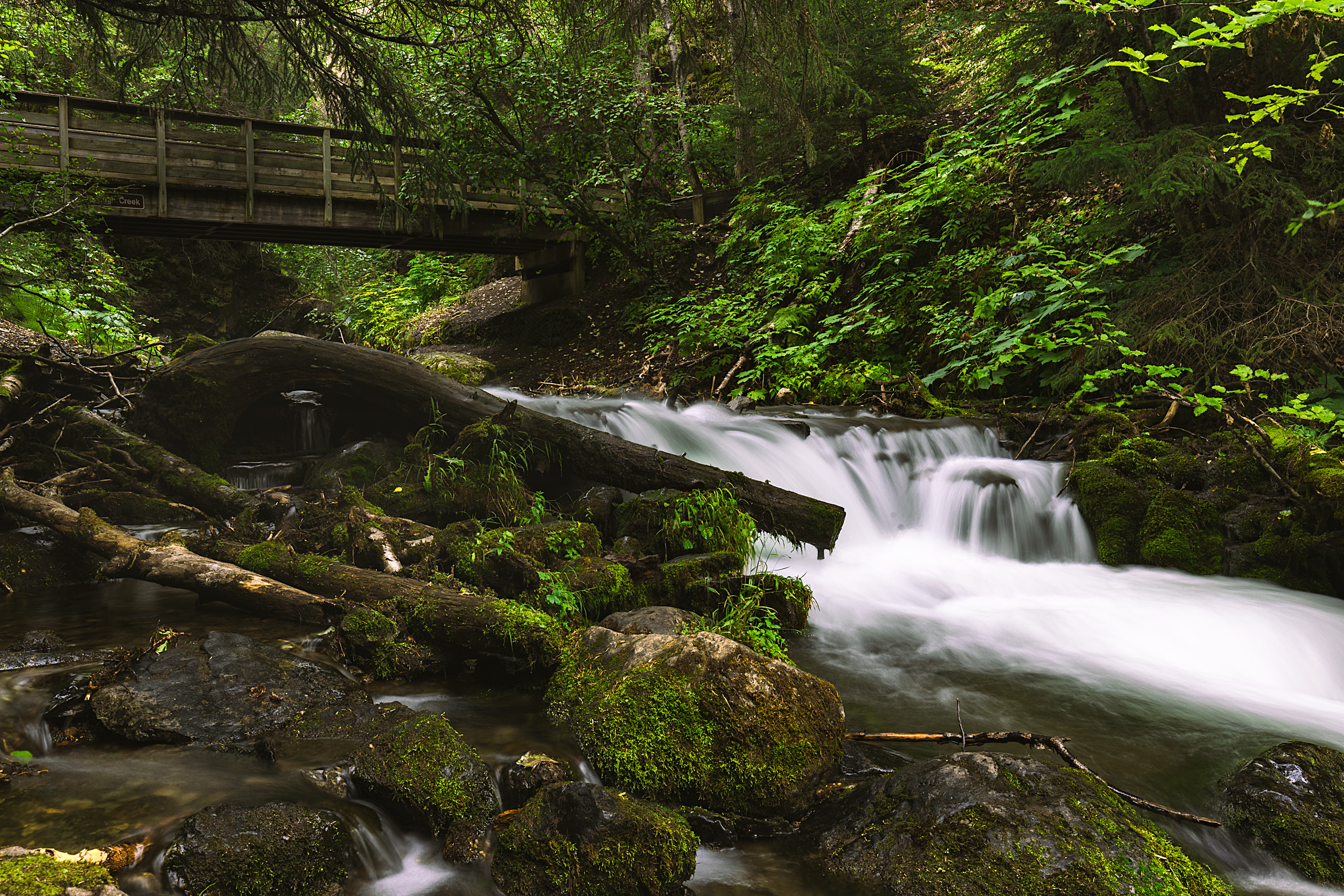 McHugh Creek