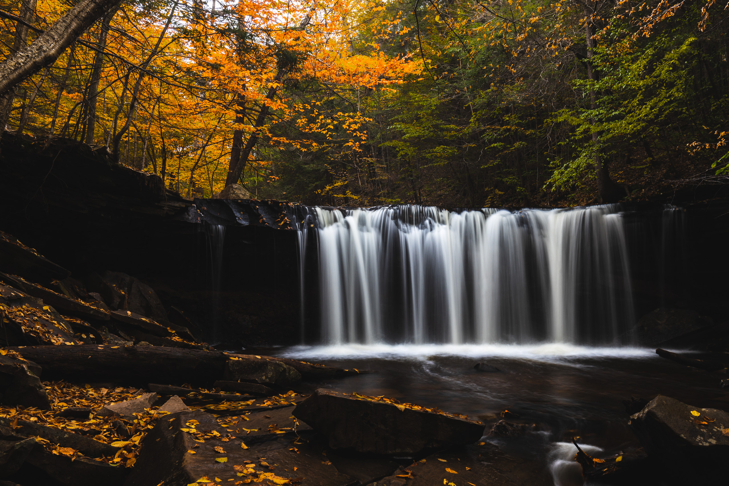 Oneida Falls